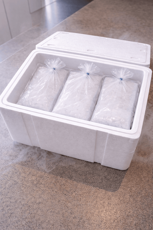 glace carbonique 10 kg plaquettes 1 kg